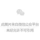 3044永利集团官网
